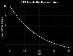 What to Expect for Results